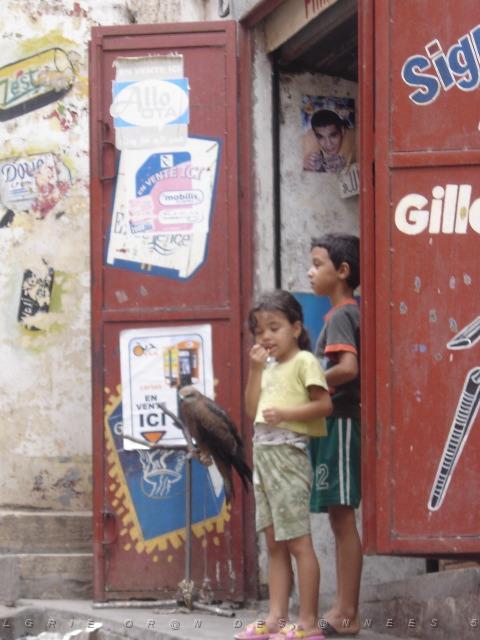 ORAN SEPTEMBRE 2006 RUE DE GENES 05.jpg